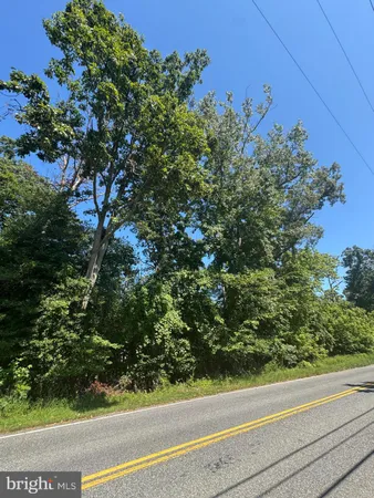 a view of a yard from a window