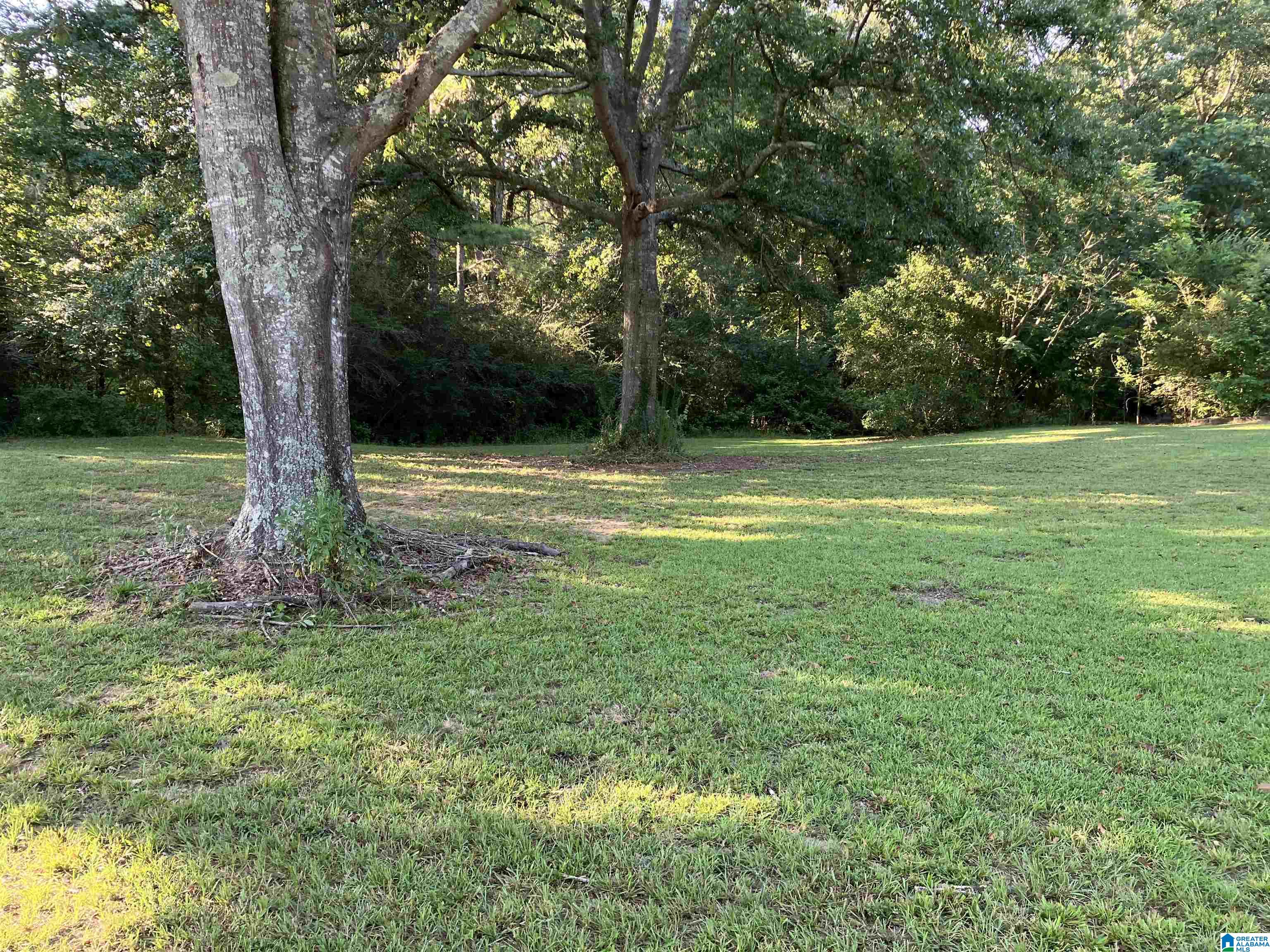 3822 Burrows Crossing Jasper, AL 35504 - Photo 6 of 32