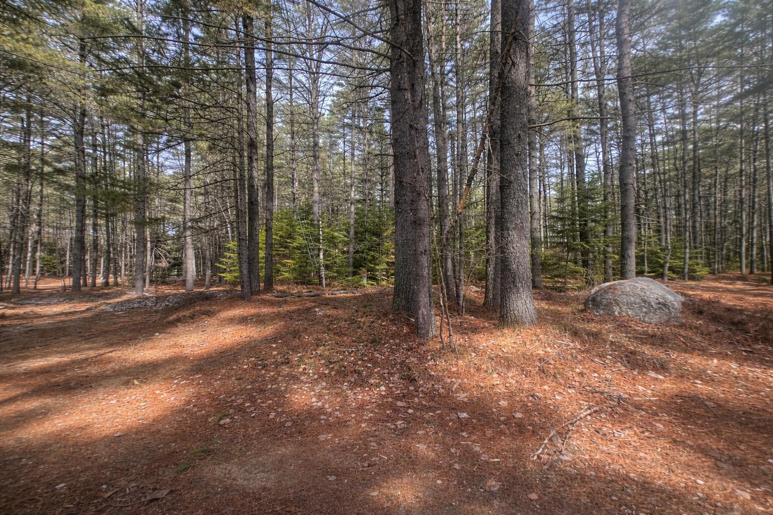 15 Stan's Road Harrison, ME 04040 - Photo 2 of 2 AD83C338-2A21-4EA7-A78C-D750BCF54F60