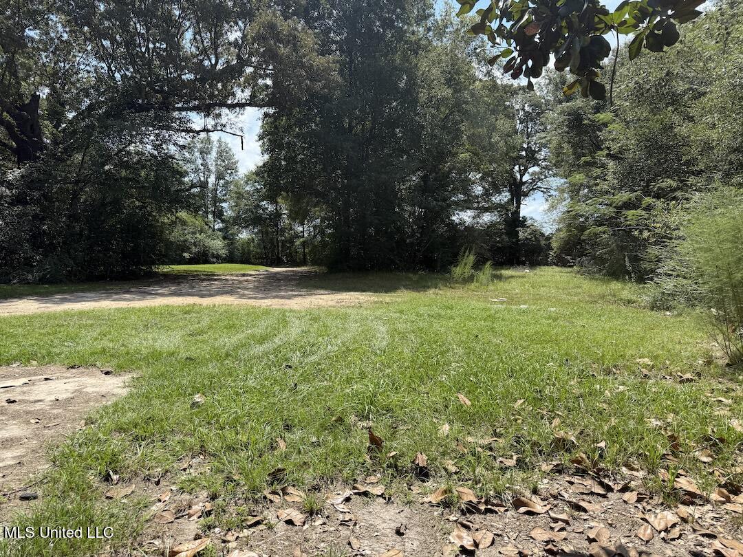 94 X L Smith Road Lumberton, MS 39455 - Photo 26 of 26 IMG_2717