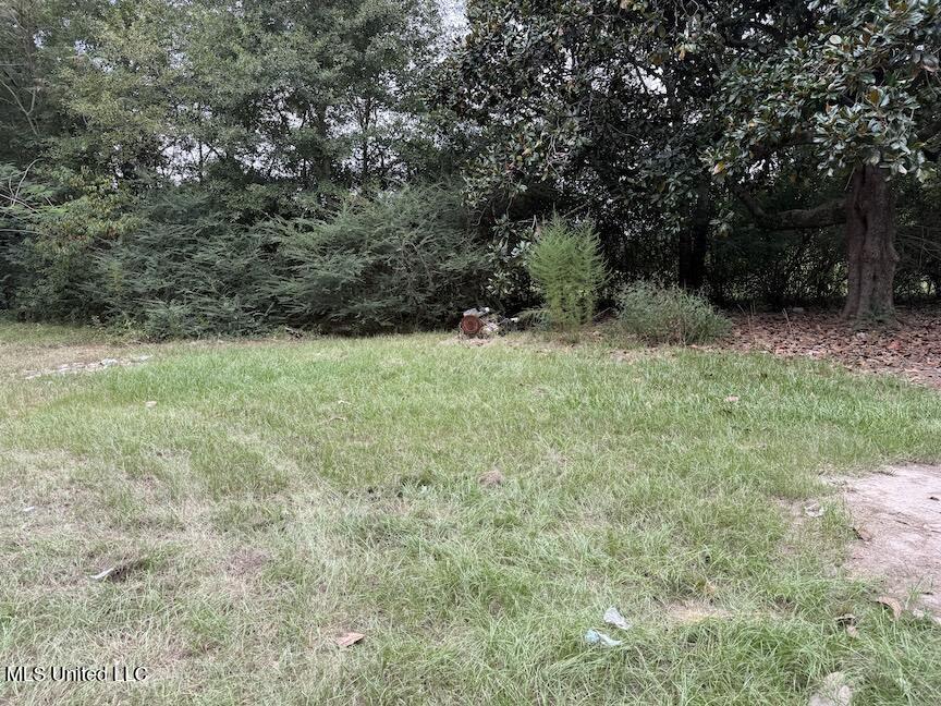 94 X L Smith Road Lumberton, MS 39455 - Photo 7 of 26 IMG_2638