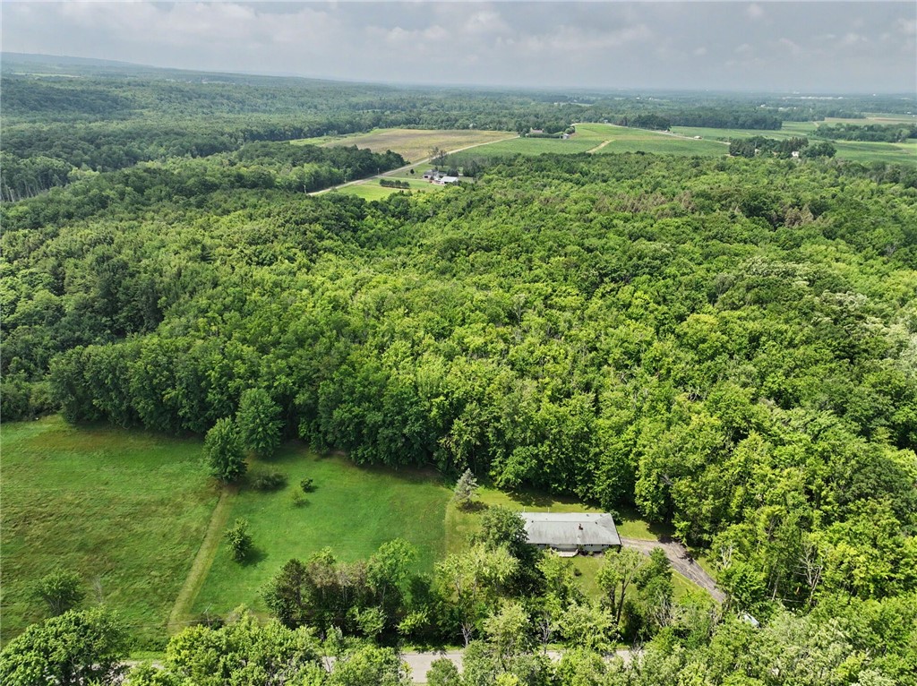 11209 Walnut Road Sheridan, NY 14062 - Photo 41 of 46 Gallery Image 41