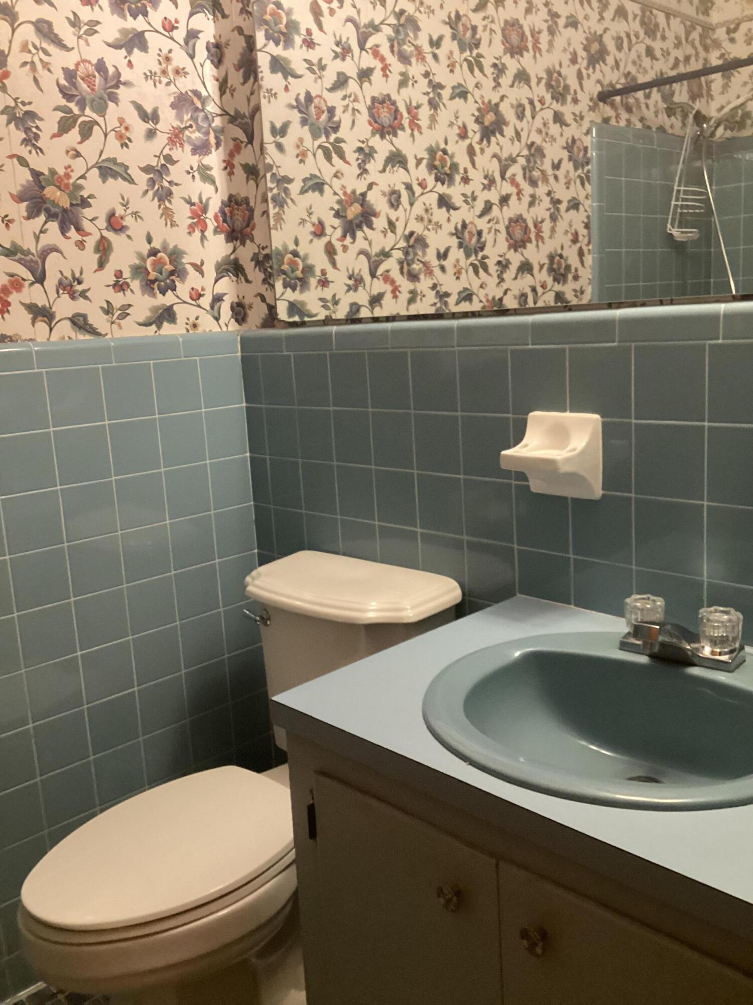 321 Luckey Road Bishopville, SC 29010 - Photo 10 of 17 Gallery Image 10