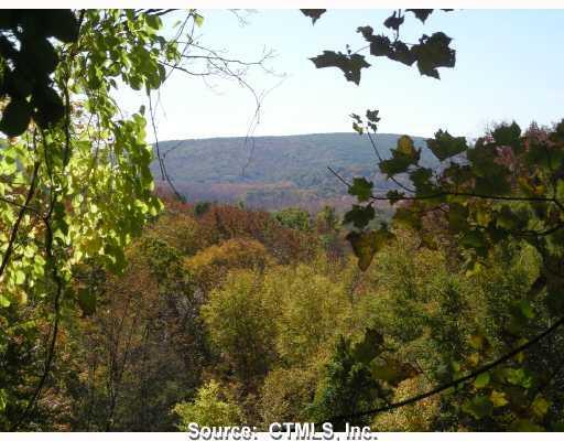 87 Upper Kent Hollow Road Cornwall Bridge, CT 06754 - Photo 1 of 1 a view of a tree in a yard