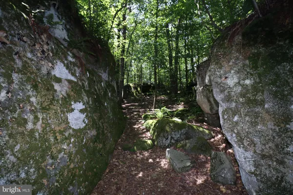 $899,000 | 99 Mountain Overlook Court, McHenry, MD 21541