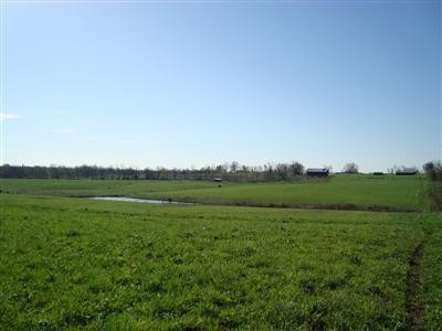 375 Stoney Point Road Paris, KY 40361 - Photo 13 of 25 Photo 13