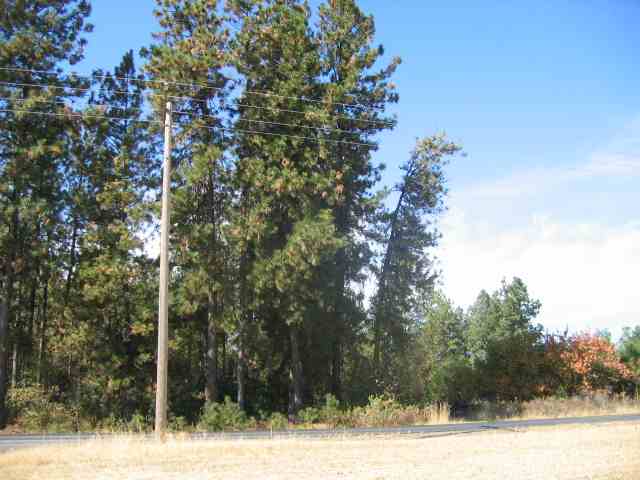 0 South Sherman Road Cheney, WA 99004 - Photo 1 of 2