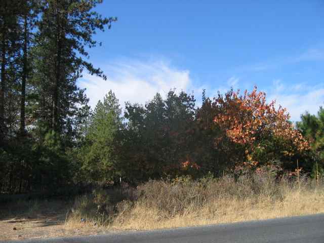 0 South Sherman Road Cheney, WA 99004 - Photo 2 of 2