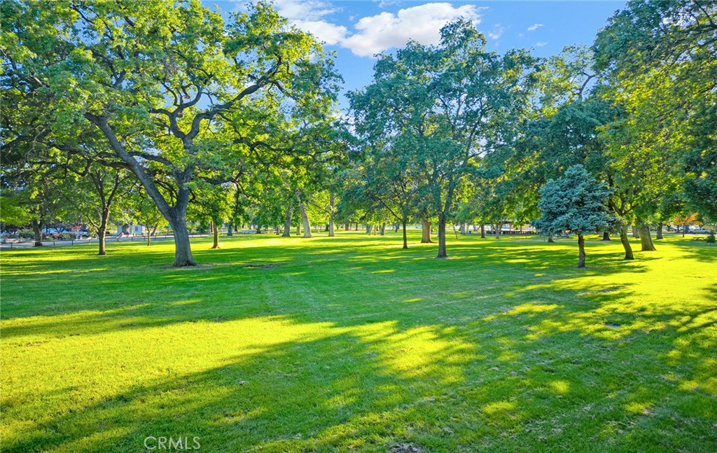 9390 Lott Road Durham, CA 95938 - Photo 30 of 40 This is the view from across the street! Beautiful!!