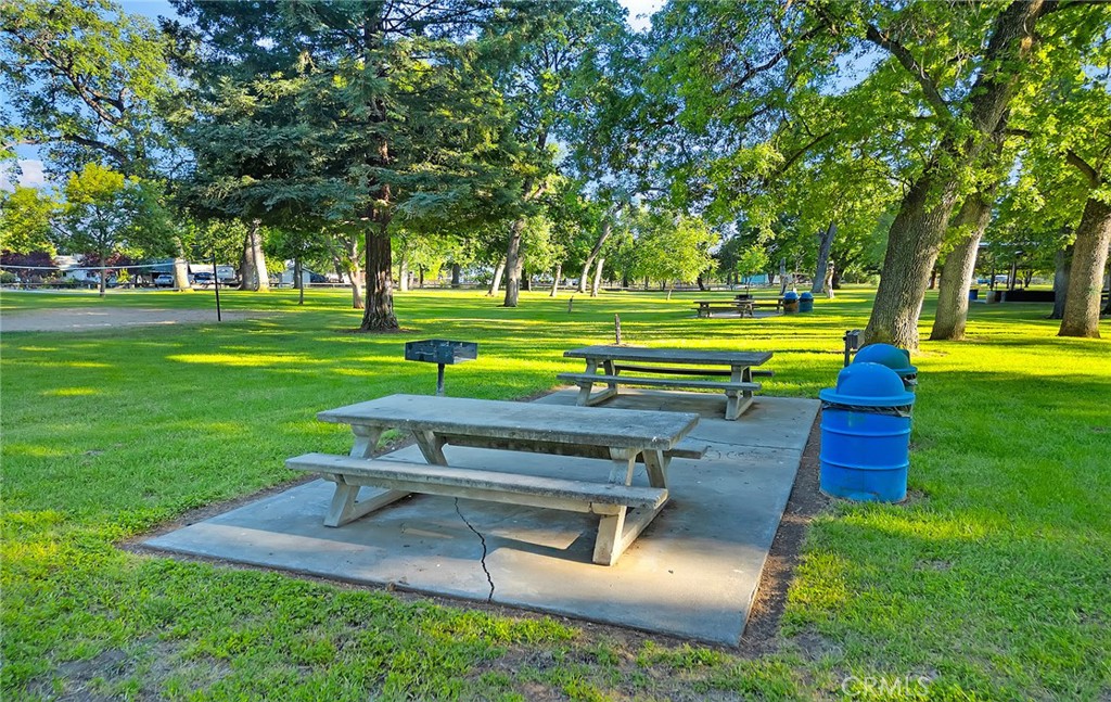 9390 Lott Road Durham, CA 95938 - Photo 31 of 40 Plenty of area at the Durham Community Park to enjoy a nice BBQ and picnic!