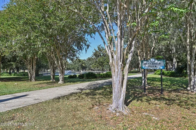 a view of a park with large trees