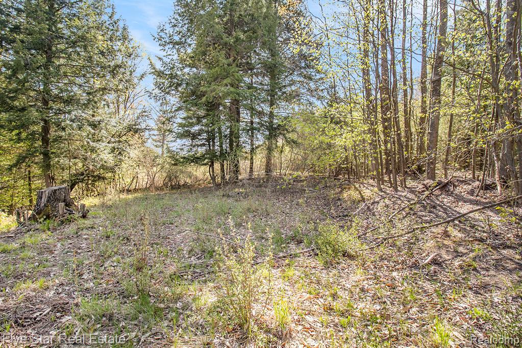 0 Smith Road Onekama, MI 49675 - Photo 19 of 23
