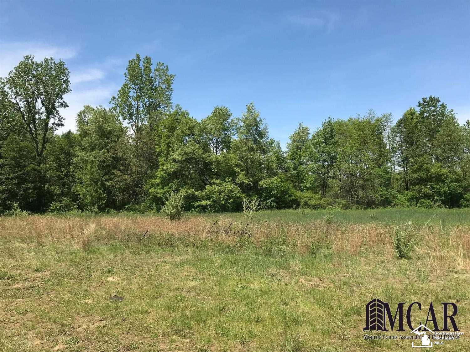 11447 Allison Road Maybee, MI 48159 - Photo 20 of 22