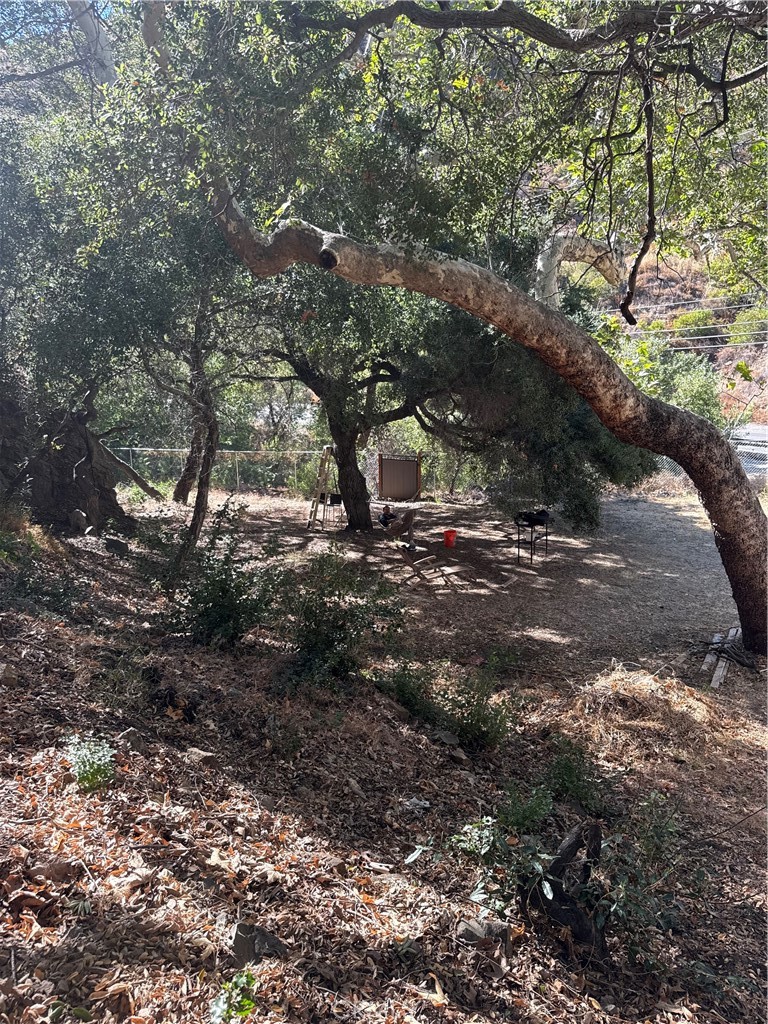 28552 Silverado Road Silverado, CA 92676 - Photo 7 of 9