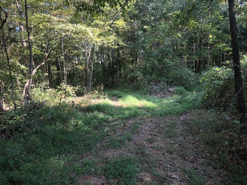 2998 North Toohey Ridge Road Cave City, KY 42127 - Photo 8 of 16 Gallery Image 8