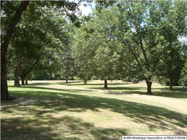 12438 Old Panola Road Como, MS 38619 - Photo 3 of 15 Additional Photo