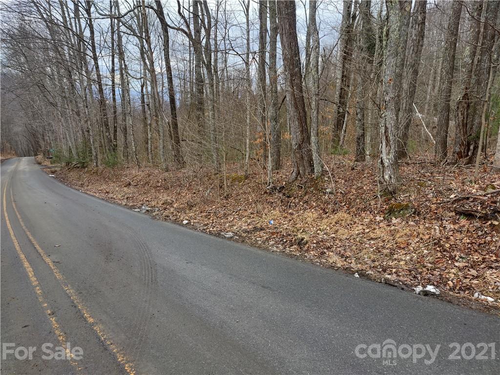 Land Off Saunook Road Waynesville, NC 28786 - Photo 1 of 34