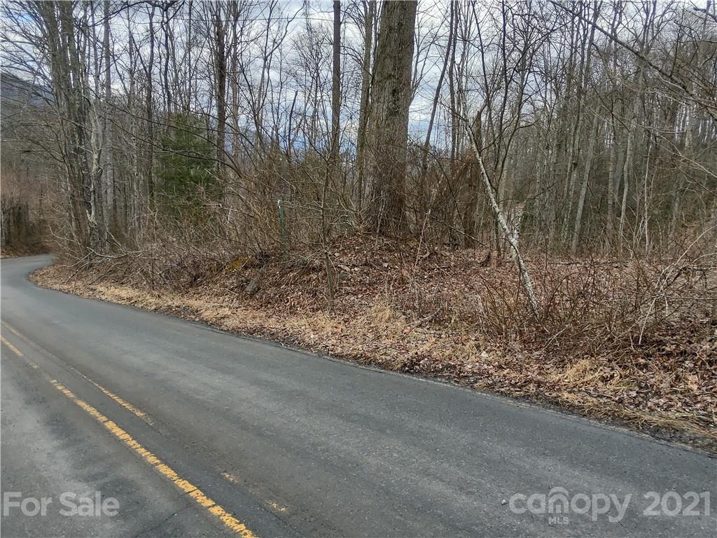 Land Off Saunook Road Waynesville, NC 28786 - Photo 2 of 34