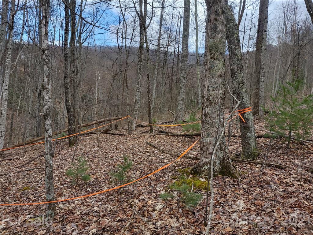 Land Off Saunook Road Waynesville, NC 28786 - Photo 11 of 34
