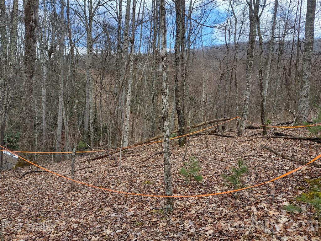 Land Off Saunook Road Waynesville, NC 28786 - Photo 12 of 34