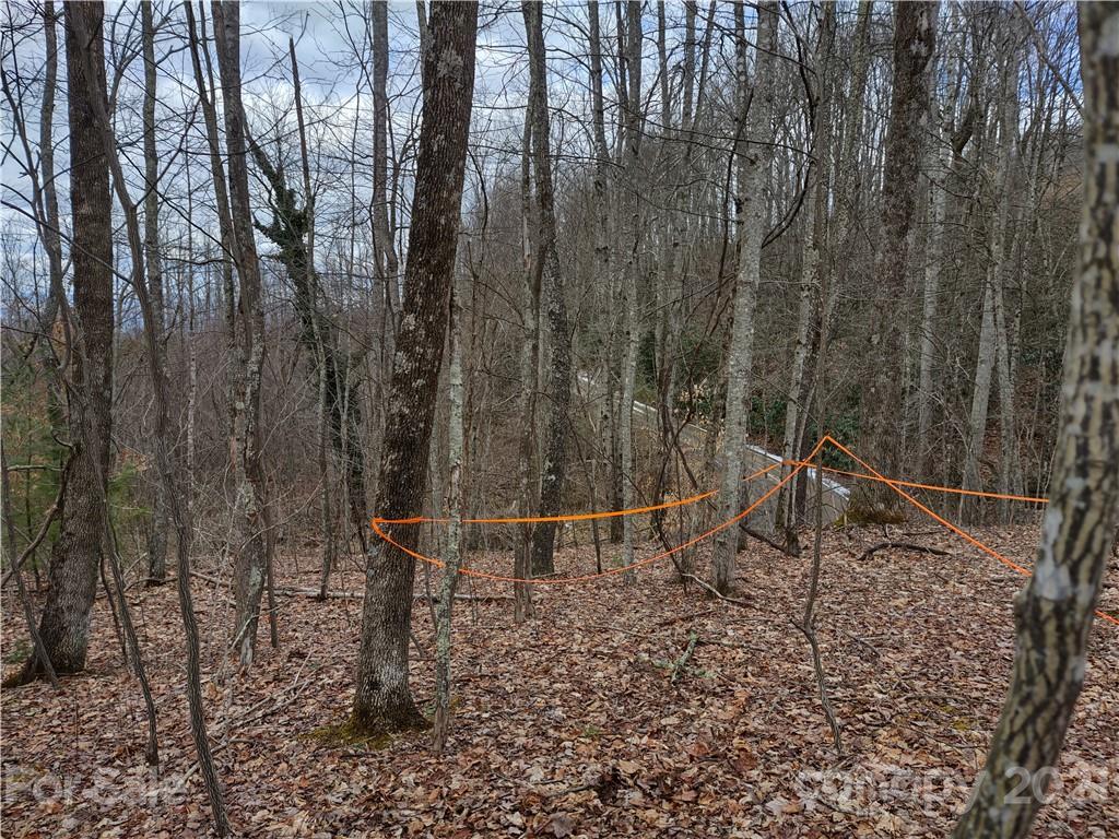 Land Off Saunook Road Waynesville, NC 28786 - Photo 13 of 34