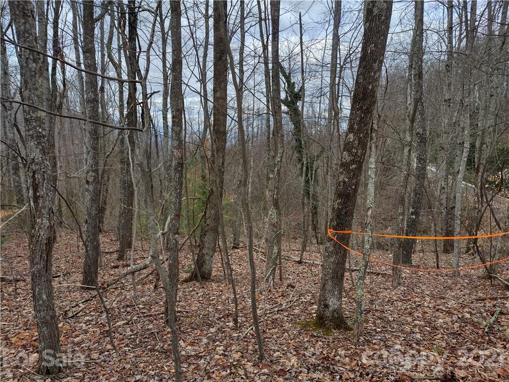Land Off Saunook Road Waynesville, NC 28786 - Photo 14 of 34