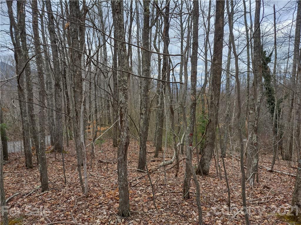 Land Off Saunook Road Waynesville, NC 28786 - Photo 15 of 34