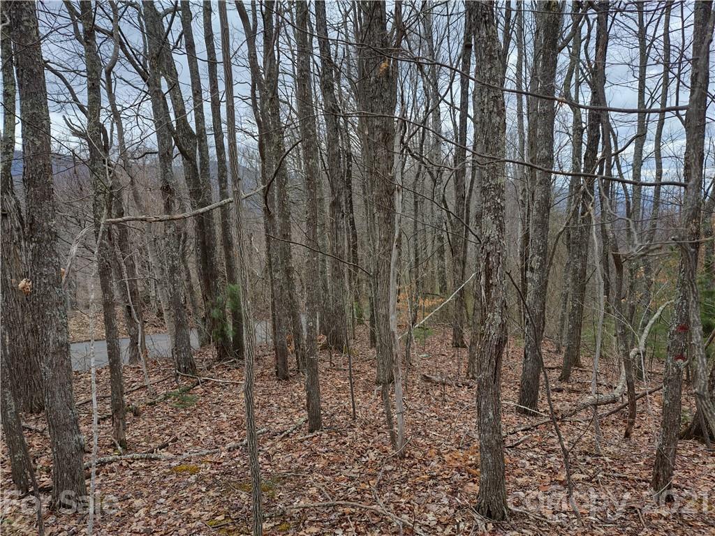 Land Off Saunook Road Waynesville, NC 28786 - Photo 16 of 34