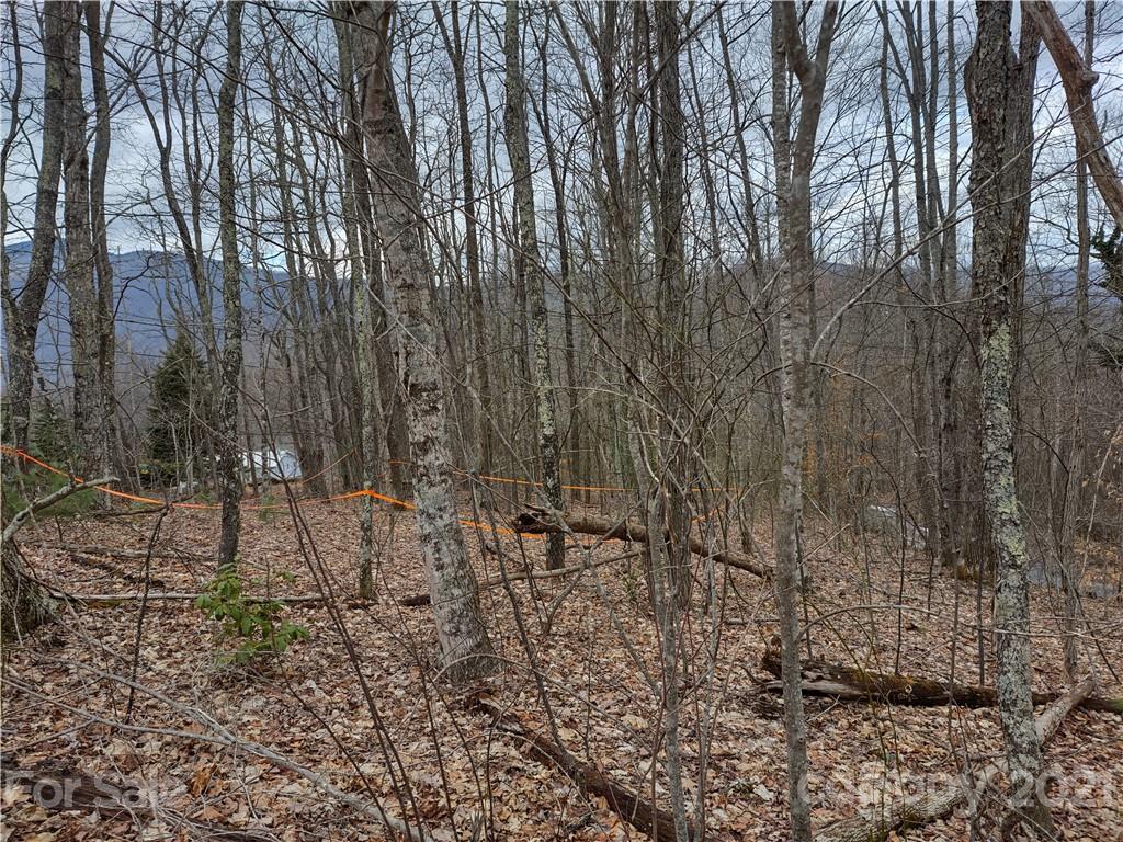 Land Off Saunook Road Waynesville, NC 28786 - Photo 17 of 34