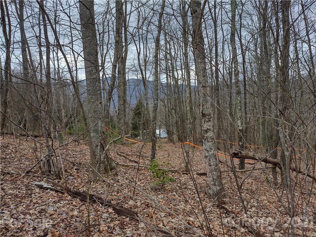 Land Off Saunook Road Waynesville, NC 28786 - Photo 18 of 34