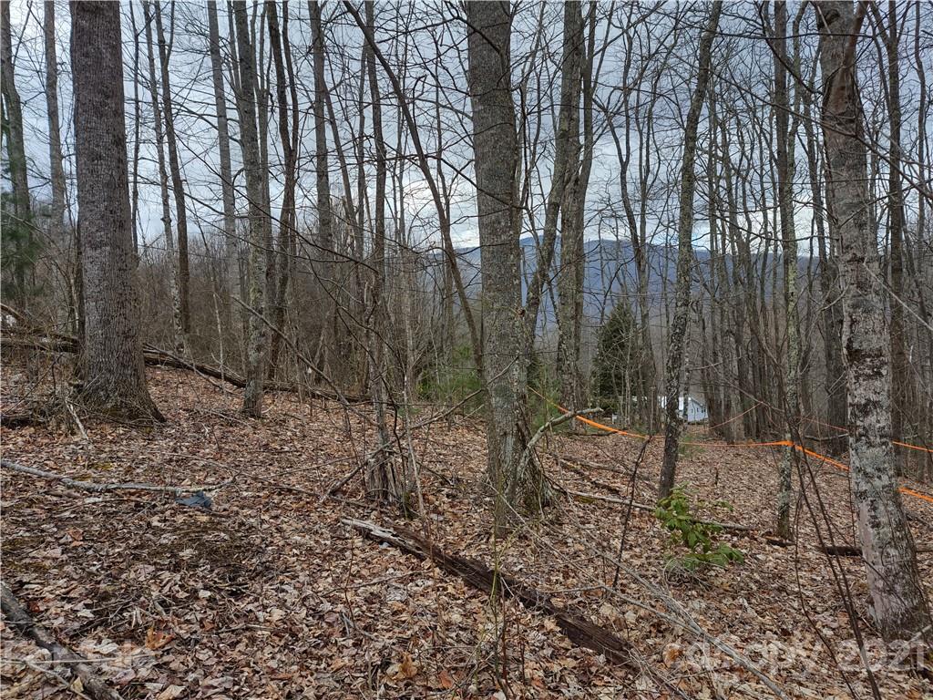 Land Off Saunook Road Waynesville, NC 28786 - Photo 19 of 34