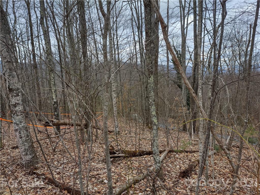 Land Off Saunook Road Waynesville, NC 28786 - Photo 20 of 34