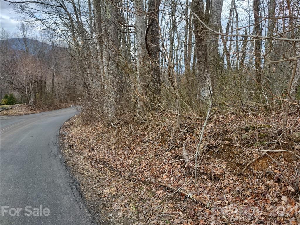 Land Off Saunook Road Waynesville, NC 28786 - Photo 3 of 34