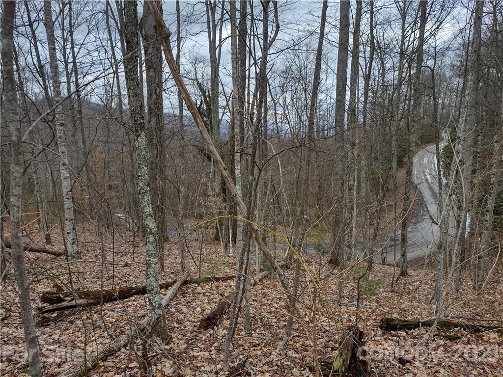 Land Off Saunook Road Waynesville, NC 28786 - Photo 21 of 34