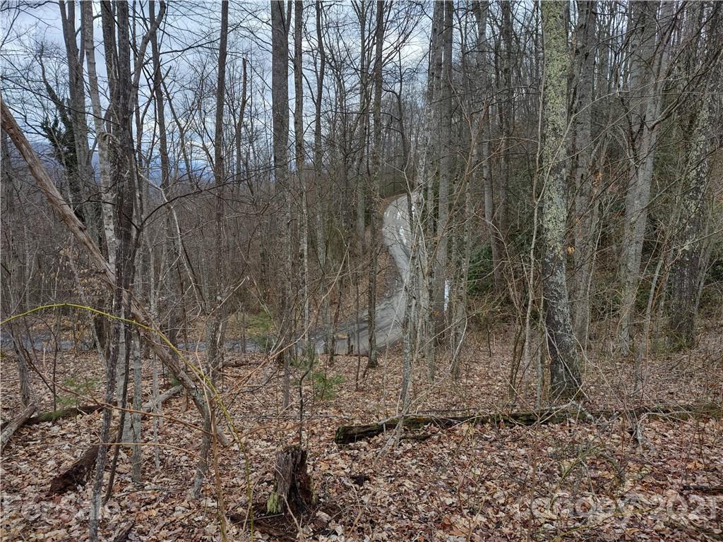Land Off Saunook Road Waynesville, NC 28786 - Photo 22 of 34