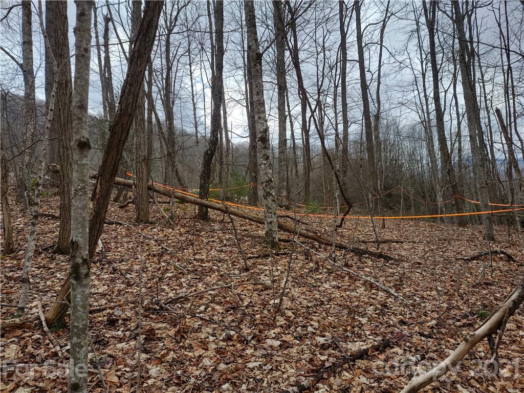 Land Off Saunook Road Waynesville, NC 28786 - Photo 23 of 34