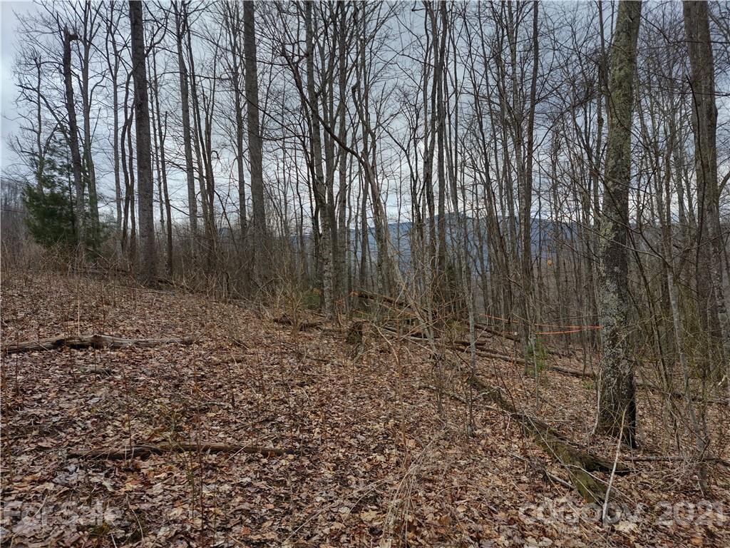 Land Off Saunook Road Waynesville, NC 28786 - Photo 24 of 34