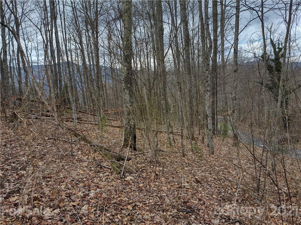 Land Off Saunook Road Waynesville, NC 28786 - Photo 25 of 34