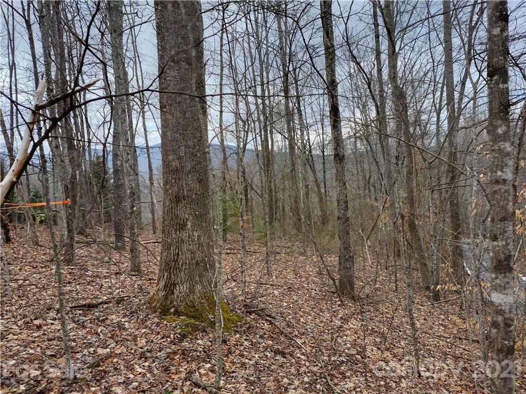 Land Off Saunook Road Waynesville, NC 28786 - Photo 26 of 34
