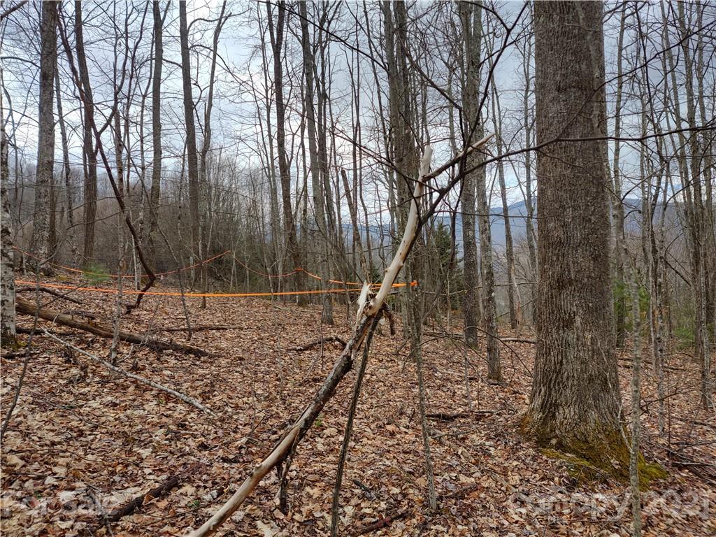 Land Off Saunook Road Waynesville, NC 28786 - Photo 27 of 34
