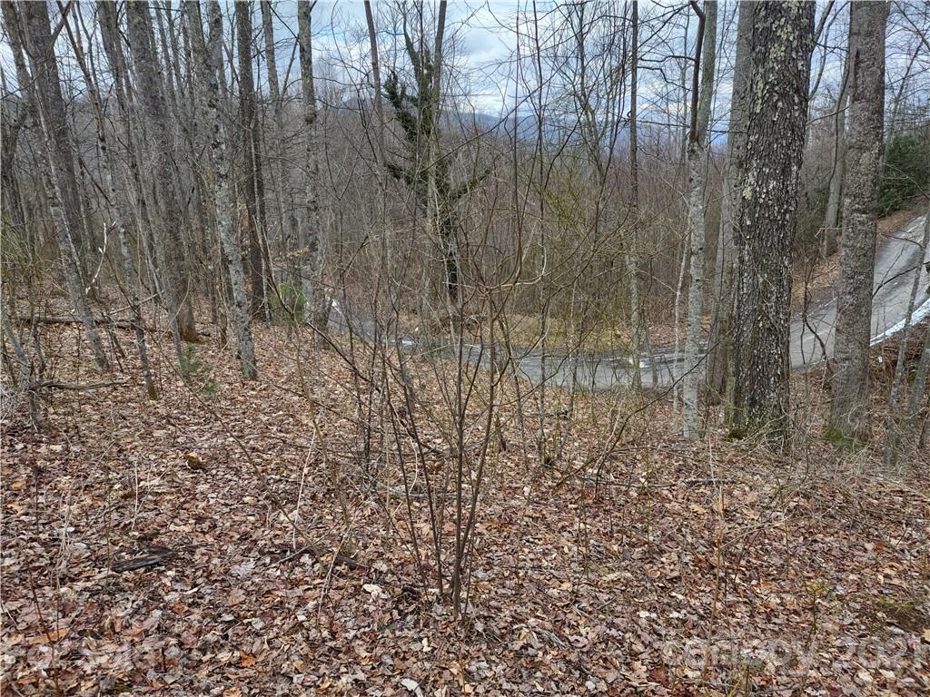 Land Off Saunook Road Waynesville, NC 28786 - Photo 28 of 34