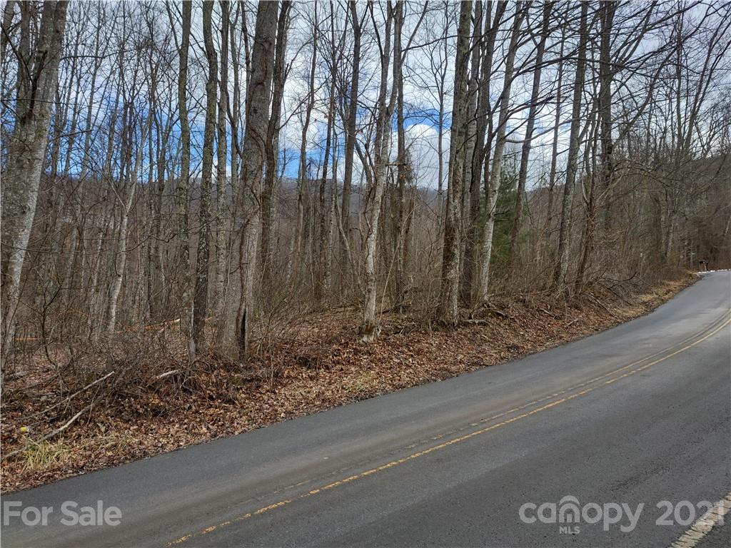 Land Off Saunook Road Waynesville, NC 28786 - Photo 29 of 34