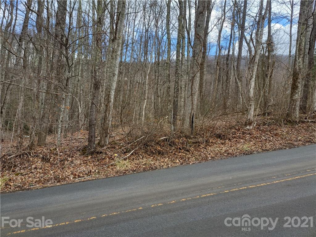 Land Off Saunook Road Waynesville, NC 28786 - Photo 30 of 34