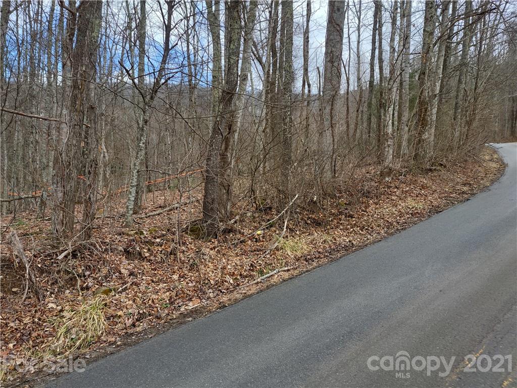 Land Off Saunook Road Waynesville, NC 28786 - Photo 4 of 34
