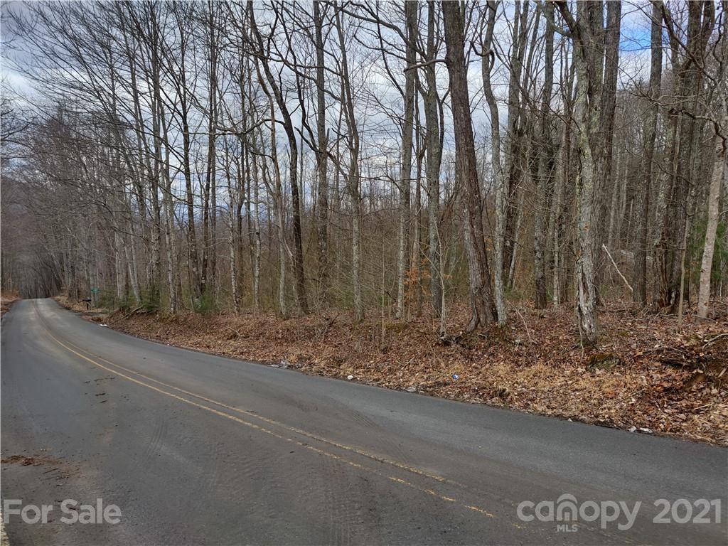 Land Off Saunook Road Waynesville, NC 28786 - Photo 31 of 34