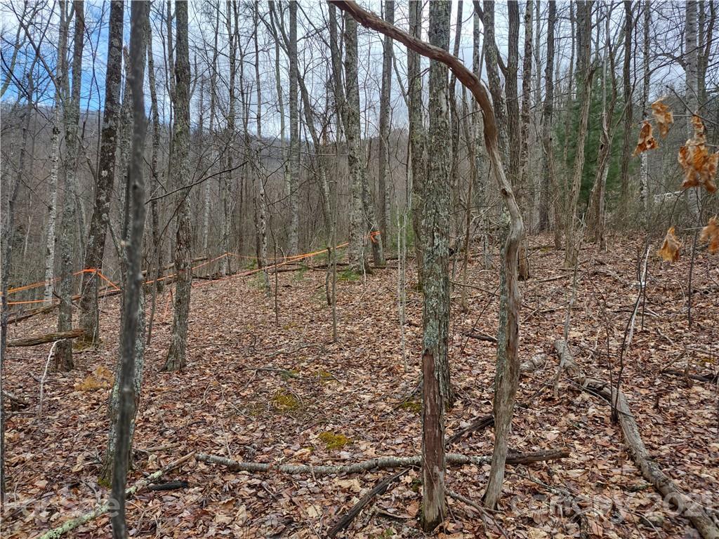 Land Off Saunook Road Waynesville, NC 28786 - Photo 5 of 34