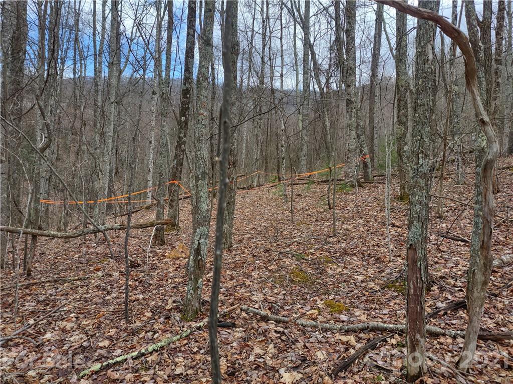 Land Off Saunook Road Waynesville, NC 28786 - Photo 6 of 34