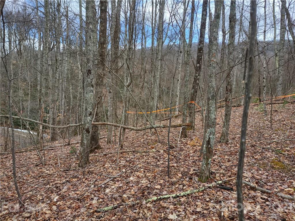 Land Off Saunook Road Waynesville, NC 28786 - Photo 7 of 34