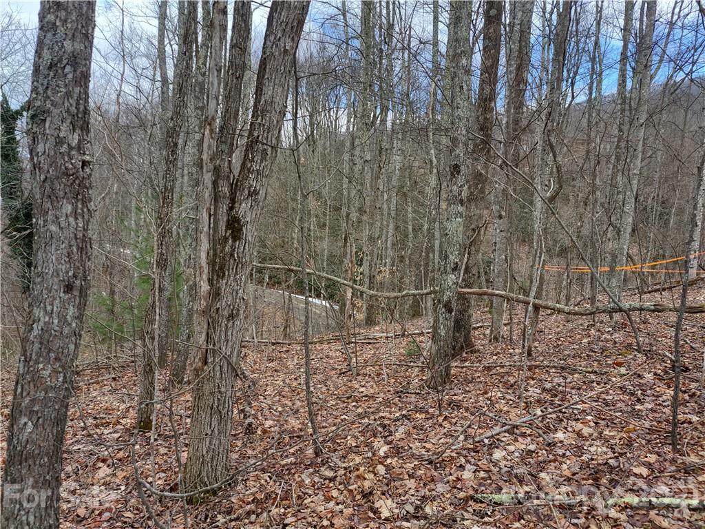 Land Off Saunook Road Waynesville, NC 28786 - Photo 8 of 34