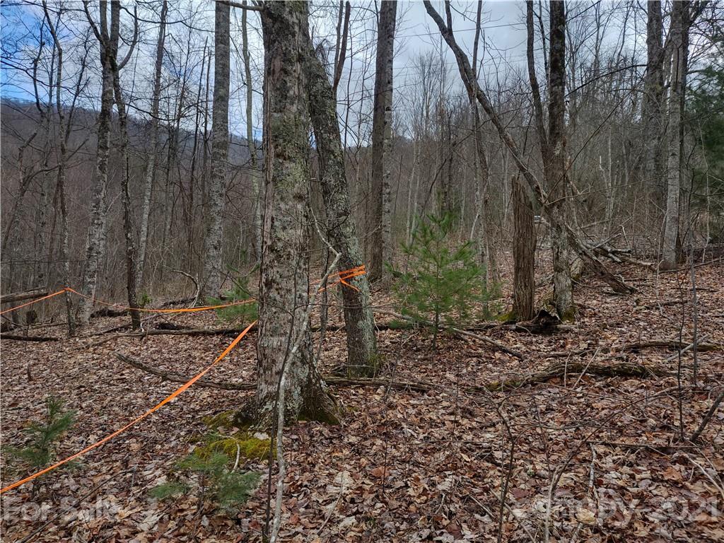 Land Off Saunook Road Waynesville, NC 28786 - Photo 10 of 34